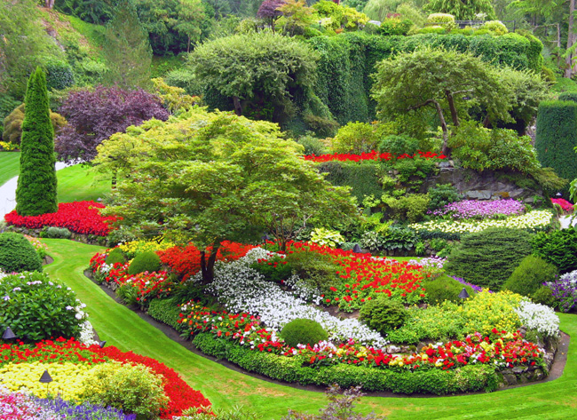 Contrasti nel giardino