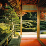 Cos'è il landscape design e perché è necessario?