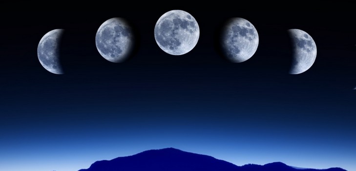 Calendario lunare del giardiniere orticolo nell'agosto 2015