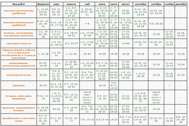 Calendario lunare del giardiniere orticolo nell'agosto 2015