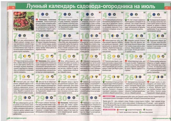 Calendario lunare del giardiniere a metà 2015