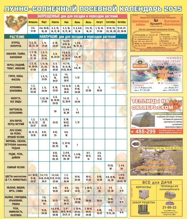 Calendario del giardiniere-giardiniere per luglio 2015 per il Nord-Ovest