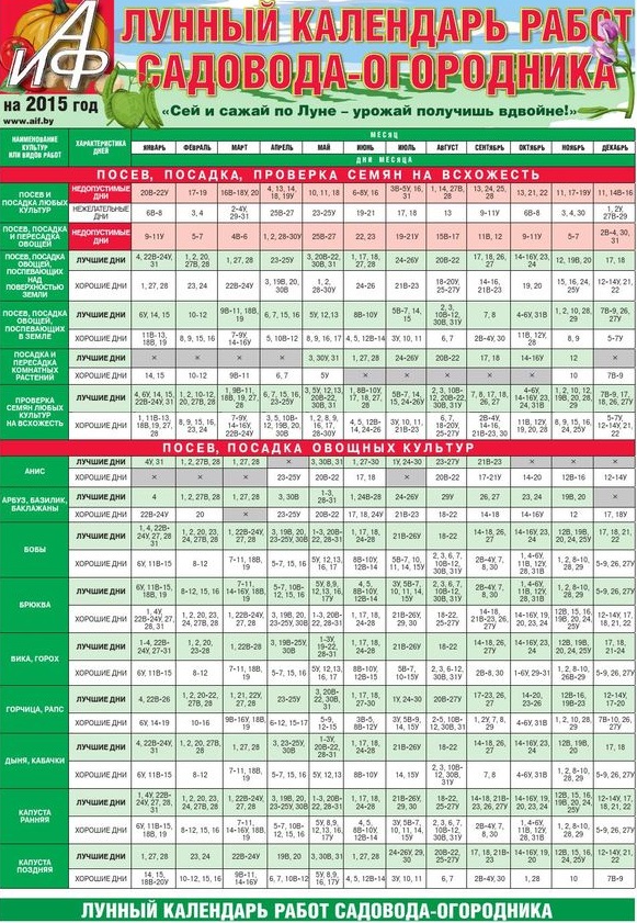 Calendario del giardiniere per luglio 2015