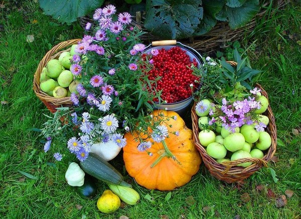 Calendario lunare del coltivatore di camion per il settembre 2016 per Regione di Mosca, Nord-Ovest, Ural, Siberia, Ucraina, Bielorussia Calendario lunare del coltivatore di camion per il settembre 2016 per Regione di Mosca, Nord-Ovest, Ural, Siberia, Ucraina, Bielorussia