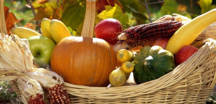 Il calendario lunare dell'orticulturista-giardiniere nell'ottobre 2015
