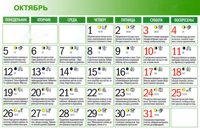 Il calendario lunare dell'orticulturista-giardiniere nell'ottobre 2015