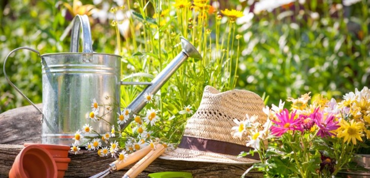 Calendario lunare del giardiniere-giardiniere nel settembre 2015