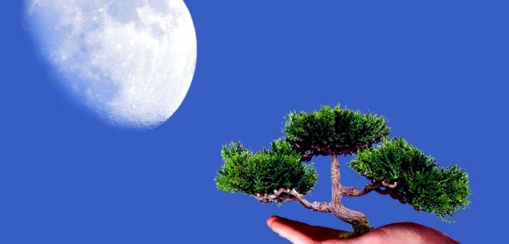 Calendario lunare del giardiniere e camionista 2015