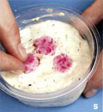 Sapone con le mani: fiore Sakura Sapone con le mani: fiore Sakura