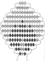 Lo schema di rose da perline