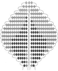 Lo schema di rose da perline