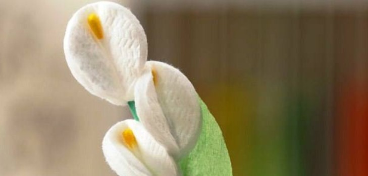 Un regalo ai fiori della mamma da una master class di dischi di cotone con una foto Fiori di cotone idrofilo con le proprie mani