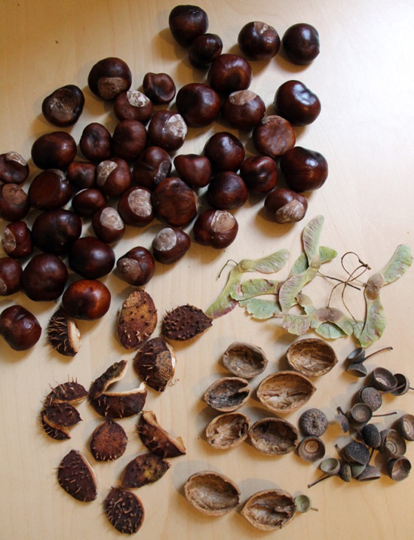 Artigianato di castagne sul tema dell'autunno