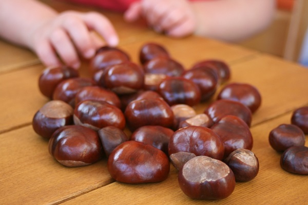 Artigianato di castagne sul tema dell'autunno
