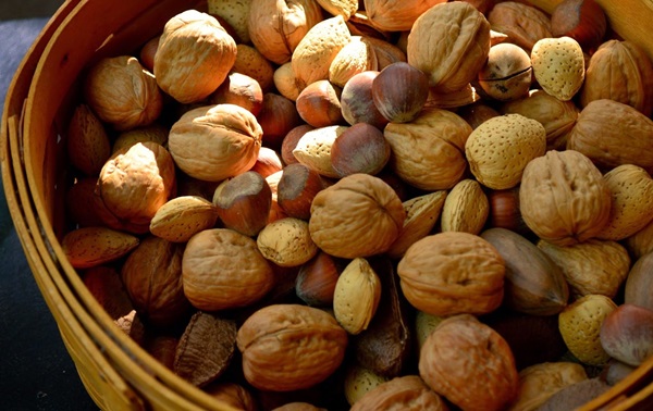 Artigianato di castagne sul tema dell'autunno