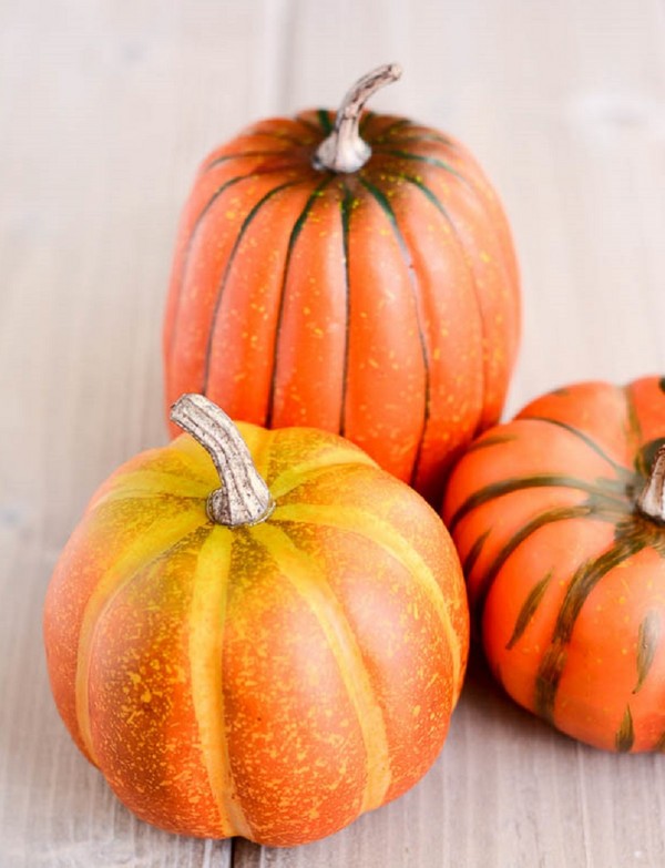 Artigianato di una zucca con le proprie mani per scuola materna e scuola, lezioni master passo dopo passo