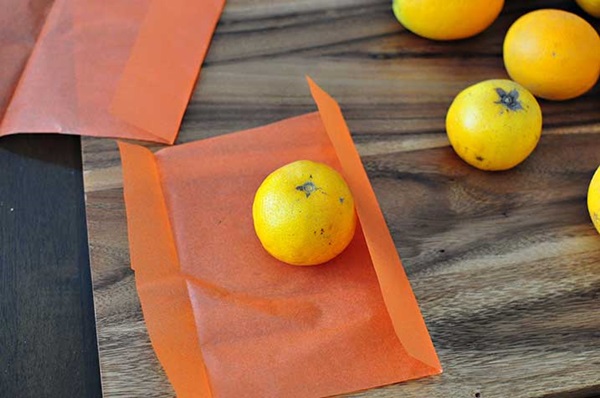 Artigianato per bambini su Halloween