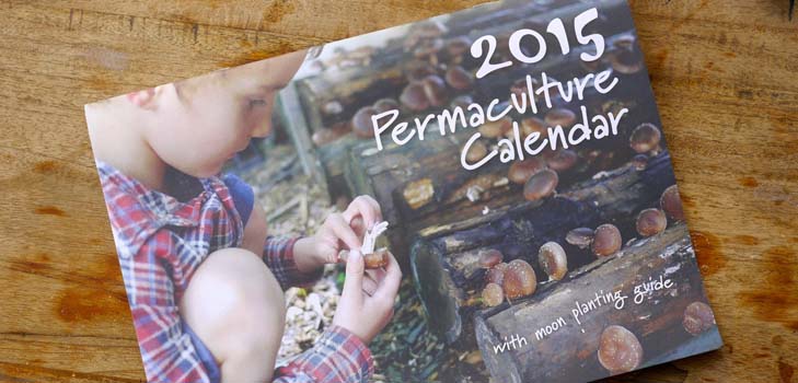 Calendario di semina 2015: abbiamo in programma di lavorare da gennaio a dicembre