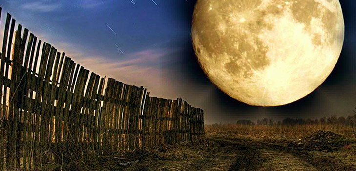 Calendario dei semi lunari per aprile 2017