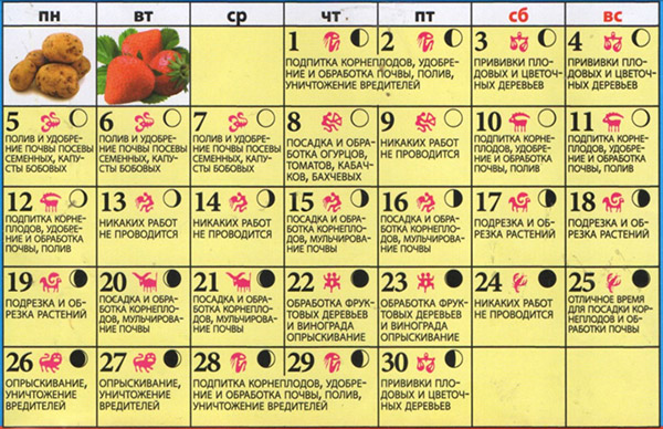 Il calendario di semina per il giugno 2017 è il calendario lunare per un giorno orticulturale, giardiniere-favorevoli, fasi della luna, tavola del calendario di semina per giugno