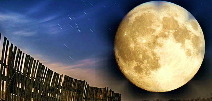Calendario dei semi lunari per maggio 2017