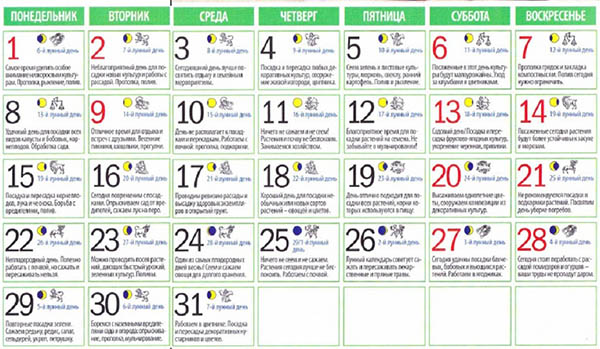 Calendario di semina per maggio 2017, tabella. Calendario di semina lunare per maggio 2017, giorni favorevoli per giardinieri e coltivatori di camion