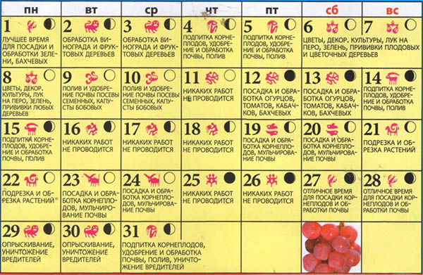 Calendario dei semi lunari per maggio 2017