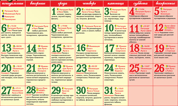 Calendario lunare dei semi per marzo 2017