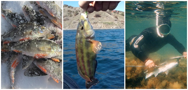 Pesci grandi e piccoli: i posti migliori per la pesca in Crimea