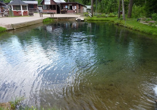 Pesci grandi e piccoli: i posti migliori per la pesca in Crimea