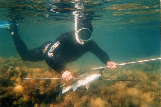 Pesci grandi e piccoli: i posti migliori per la pesca in Crimea