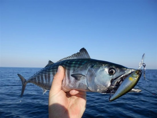Pesci grandi e piccoli: i posti migliori per la pesca in Crimea