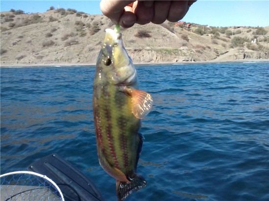 Pesci grandi e piccoli: i posti migliori per la pesca in Crimea