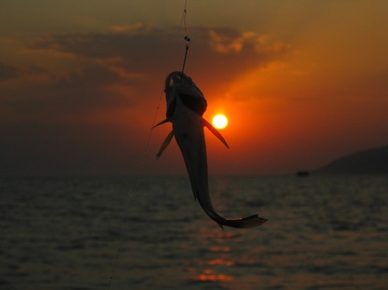 Pesci grandi e piccoli: i posti migliori per la pesca in Crimea