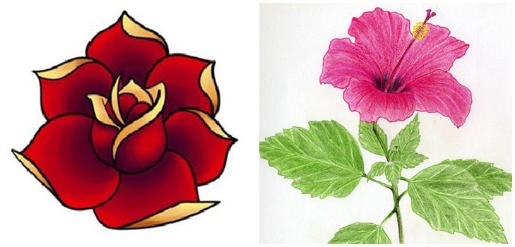 Figura Fiore