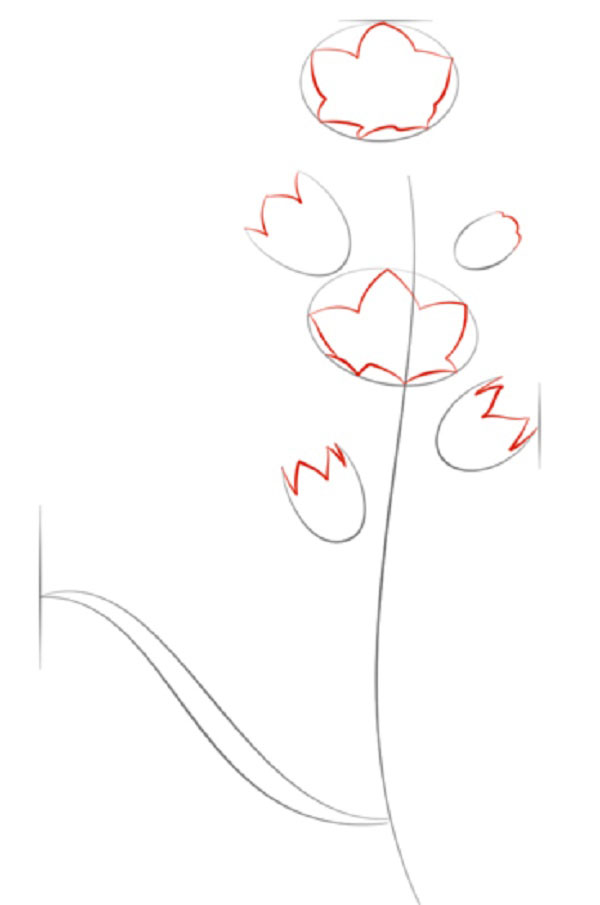 Figura Fiore
