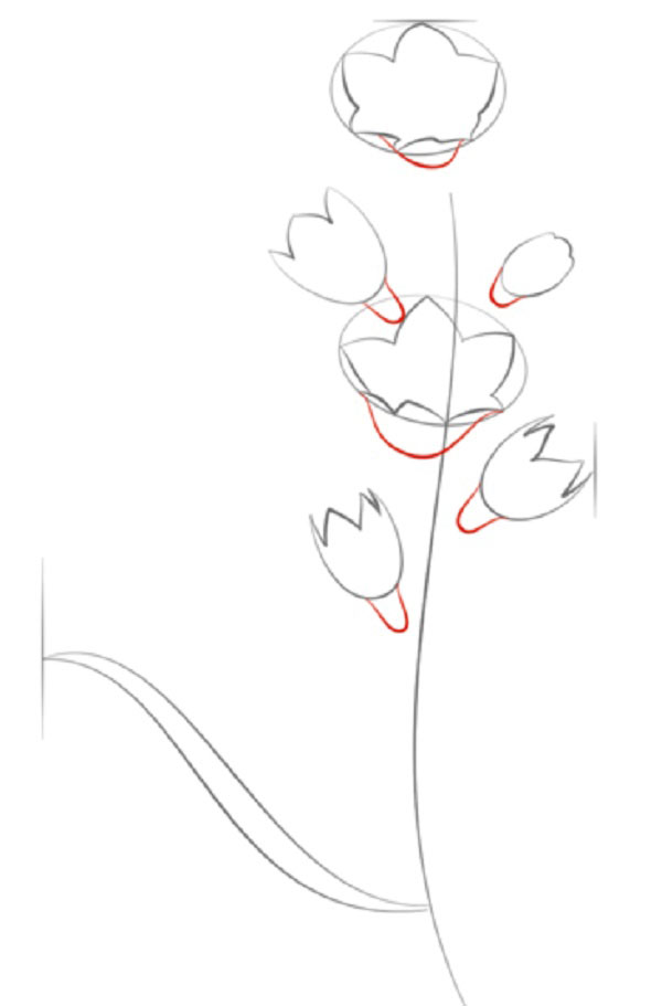 Figura Fiore