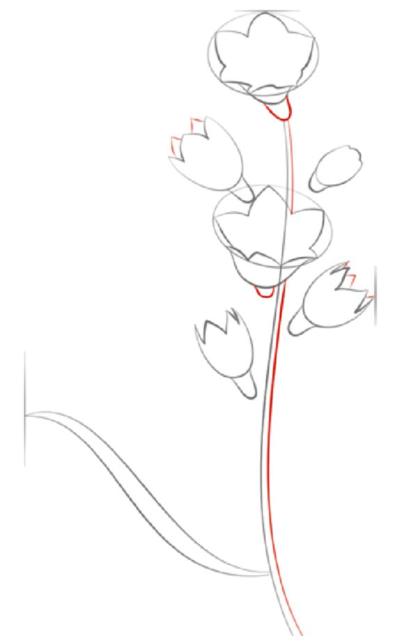 Figura Fiore