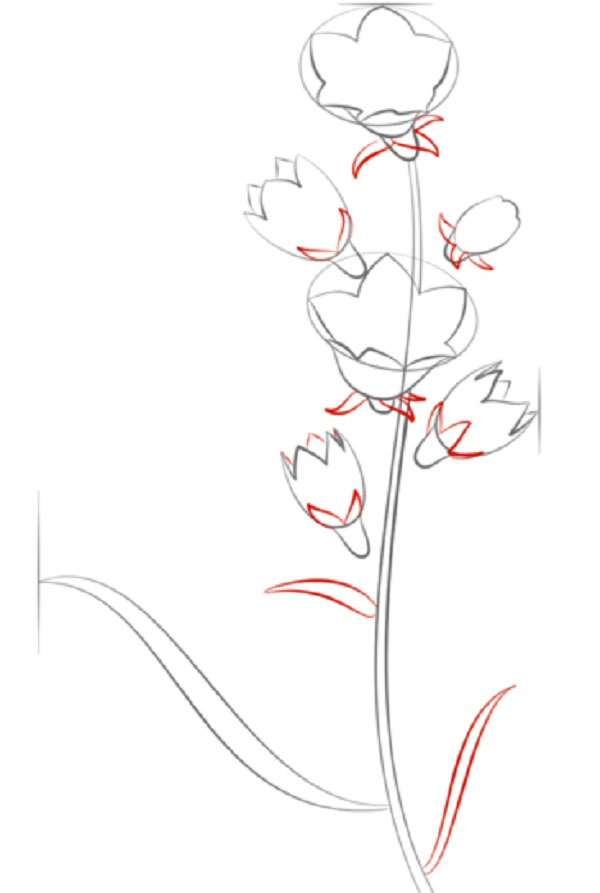 Figura Fiore
