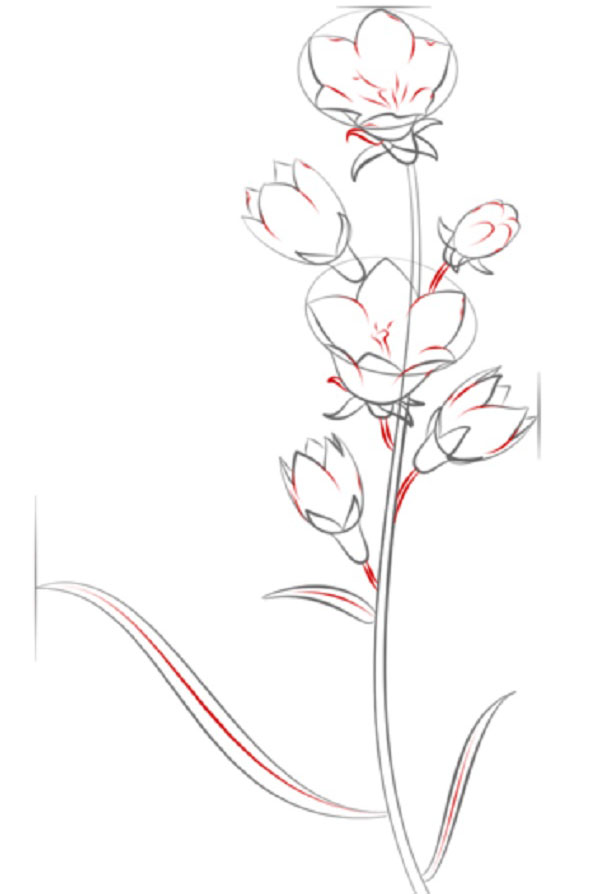 Figura Fiore
