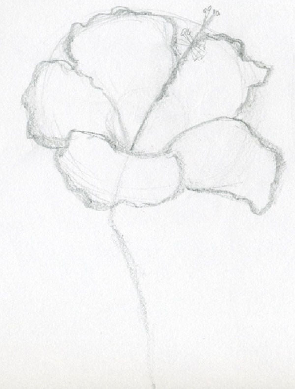 Figura Fiore