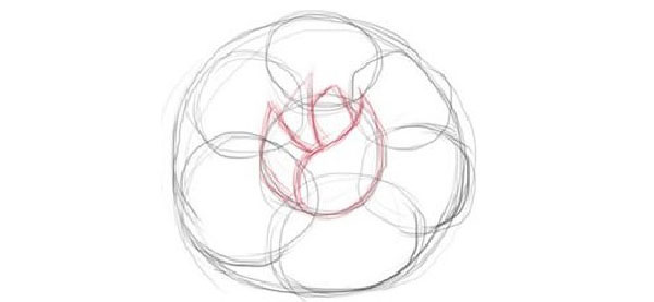 Figura Fiore