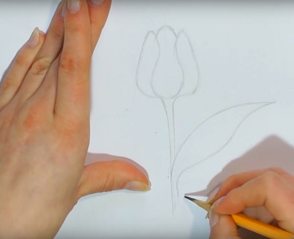 Attingendo alla festa della mamma con le proprie mani: matita, colori, scuola materna, scuola