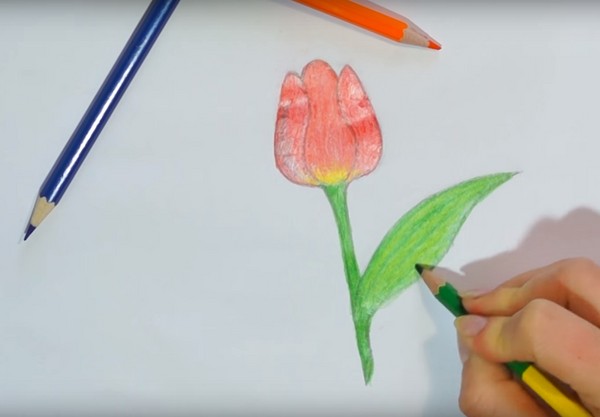 Attingendo alla festa della mamma con le proprie mani: matita, colori, scuola materna, scuola