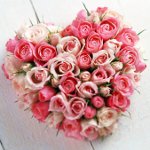 Cuore di rose il 14 febbraio