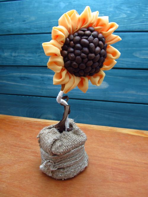 Topiary di chicchi di caffè con le tue mani Girasole. Istruzione passo dopo passo, topiary-sunflower