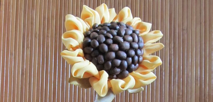Girasole topiaria mani proprie