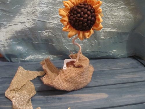 Girasole topiaria mani proprie