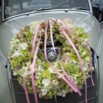 Ornamenti sull'auto da solo