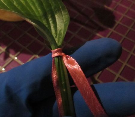 Corona di fiori per il matrimonio con le proprie mani
